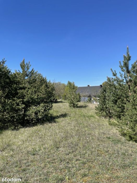 399k do 15.07! Rezydencjonalne 3273 m² | Grzebienisko | Las - Widok 3