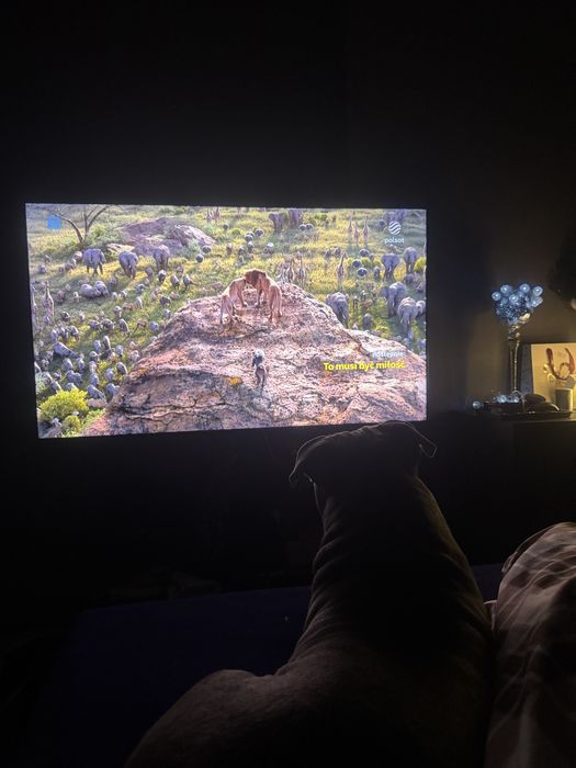 alarm drogowy OOONO CO-DRIVER NO1