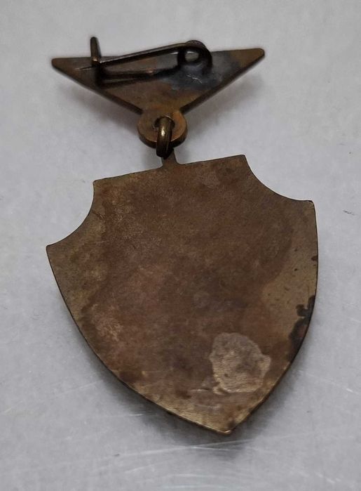 Odznaka 1000-lecie Państwa Polskiego, OKFJN, 22,5mm (Kolekcje]