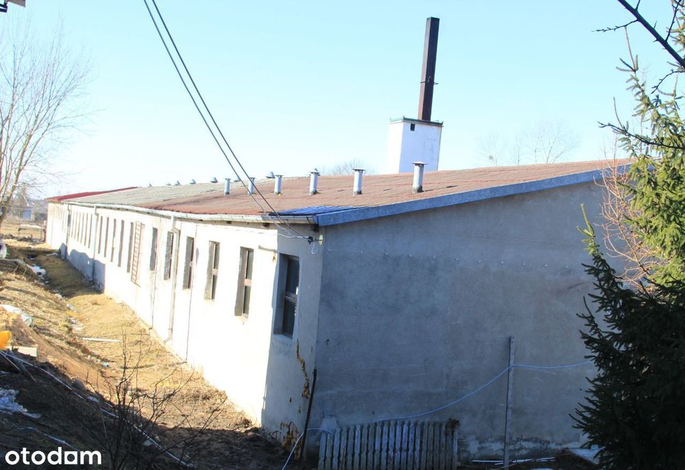 Działka inwestycyjna 8500m² z halą – usługi/rolna, dotacje - Widok 5