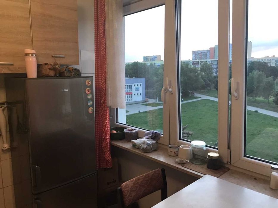 Mieszkanie do wynajęcia