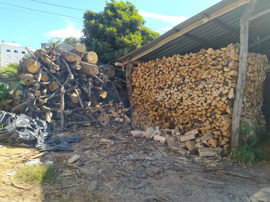 Lenha seca de carvalho e eucalipto.Milho miúdo