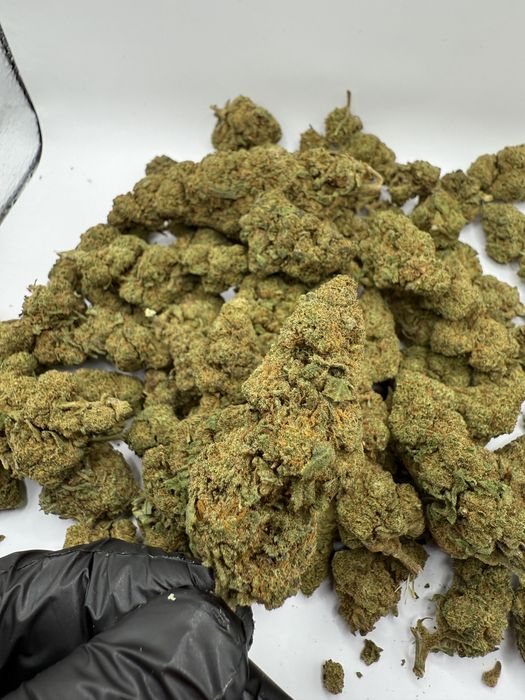 Susz CBD Sweetberry 1kg/THC<0.3%
