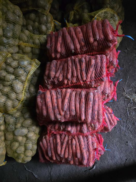 Ziemniaki i marchew ilosci hurtowe i detal