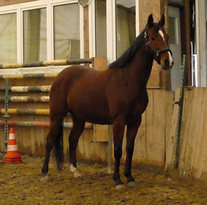 KLACZ  8 LAT małopolska