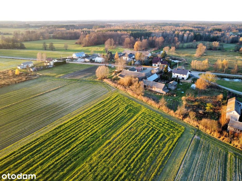 Działka Marysin gm. Kotuń 1483 mkw