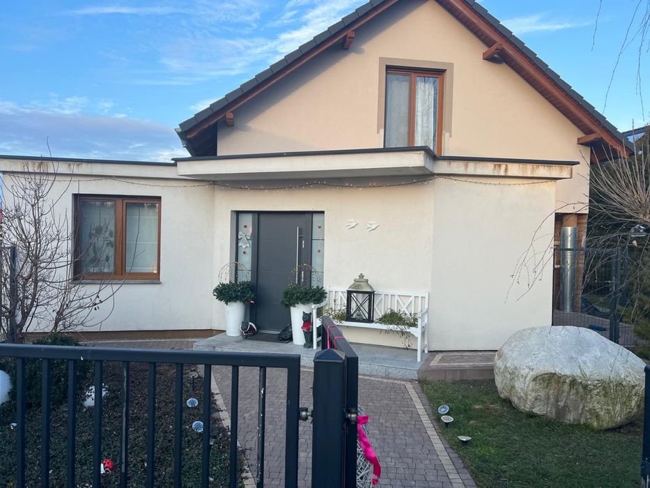 Kamień polny granit