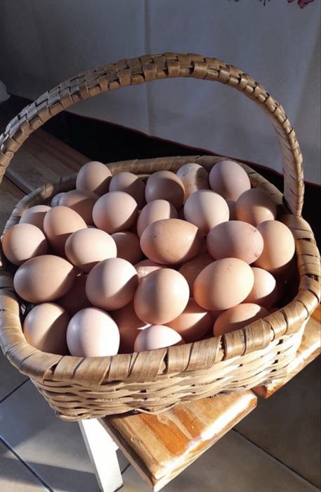 Ovos Caseiros Muito bons