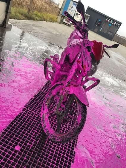 Продам мустанг фортуна