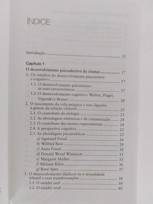 Psicopatologia descritiva e interpretativa da criança