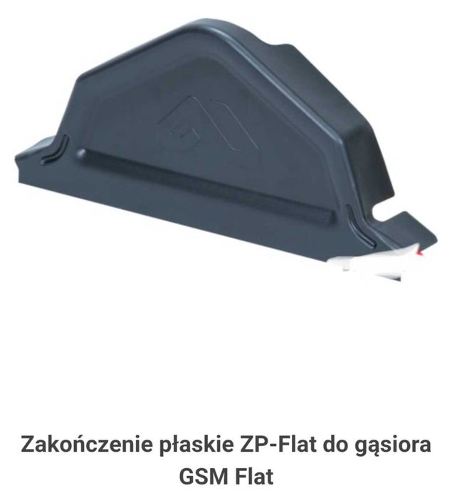 Zakończenie do Gąsiora