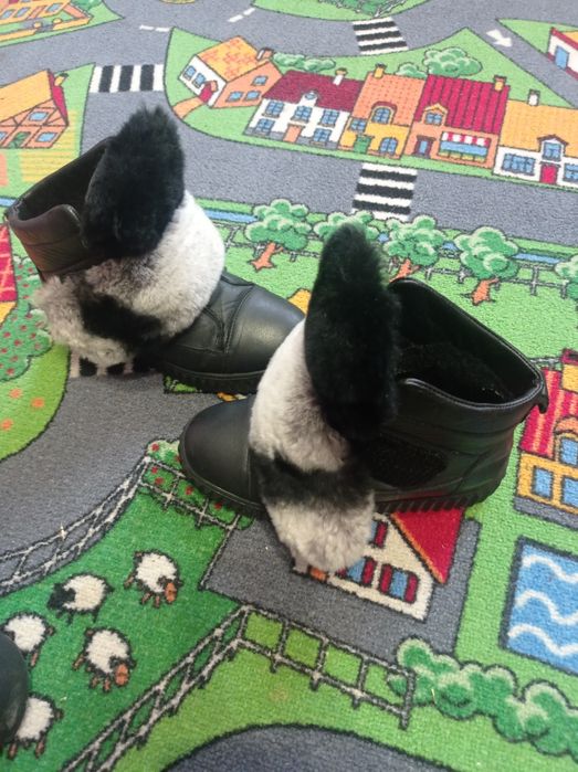 Зимові чобітки шкіряні.