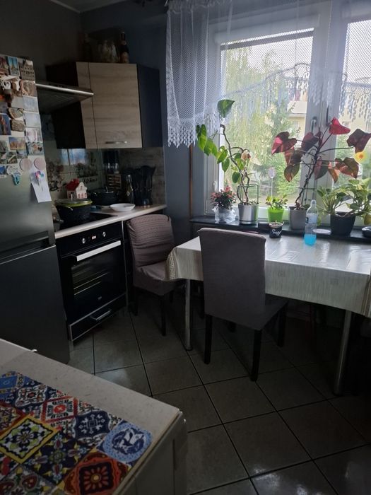 Mieszkanie – Radzyń Chełmiński - Widok 5