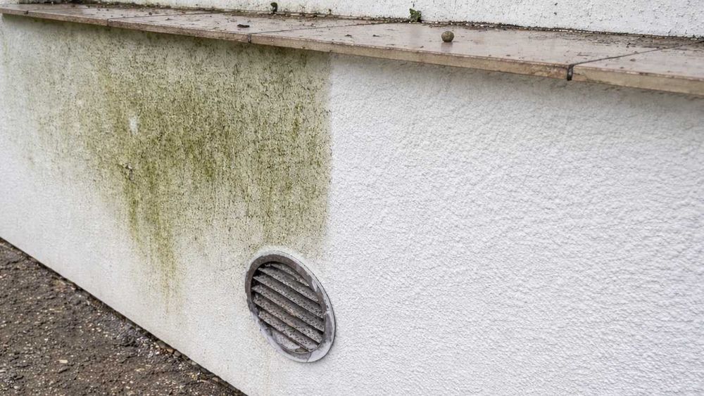 !W KOŃCU! Mycie kostki i Mycie elewacji, które NAPRAWDĘ robi efekt.