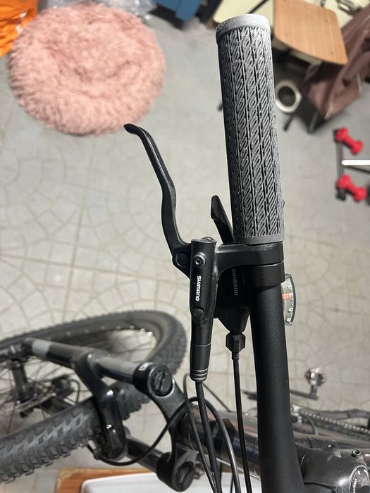 Bergamont Roda29