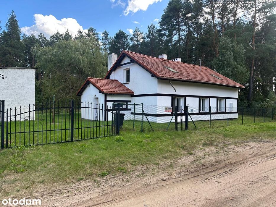 Zdjęcie 7