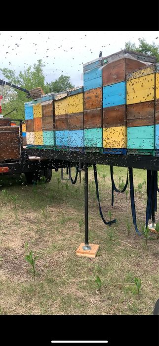 Причеп для бджіл