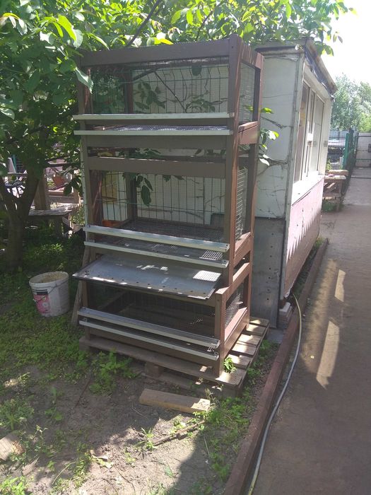 Клетка для кур несушек