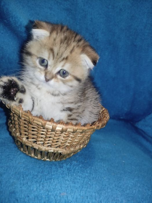 Маленьке щастичко чекає на родину