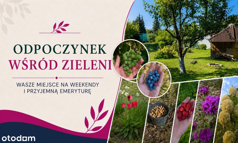 Odpoczynek wśród zieleni.