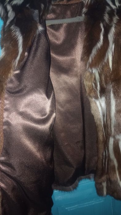 Futro skunksa futro skunksów unikat