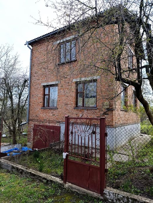 Будинок в селі Петрики