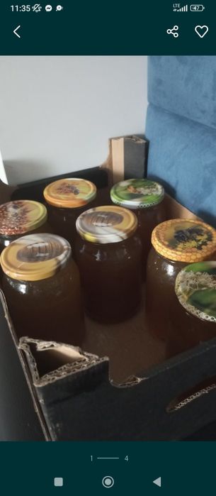 Miód pszczeli z przydomowej pasieki