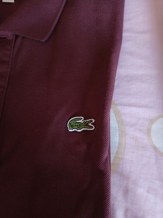 Polo de homem Lacoste