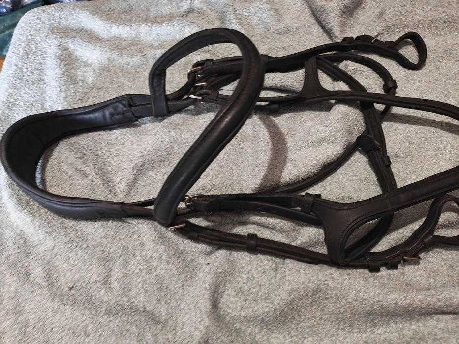 Ogłowie z miękkiej skóry Claridge House rozmiar Full, anatomiczne