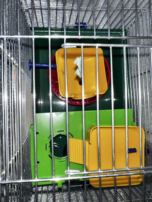 Клітки Лорі, для гризунів