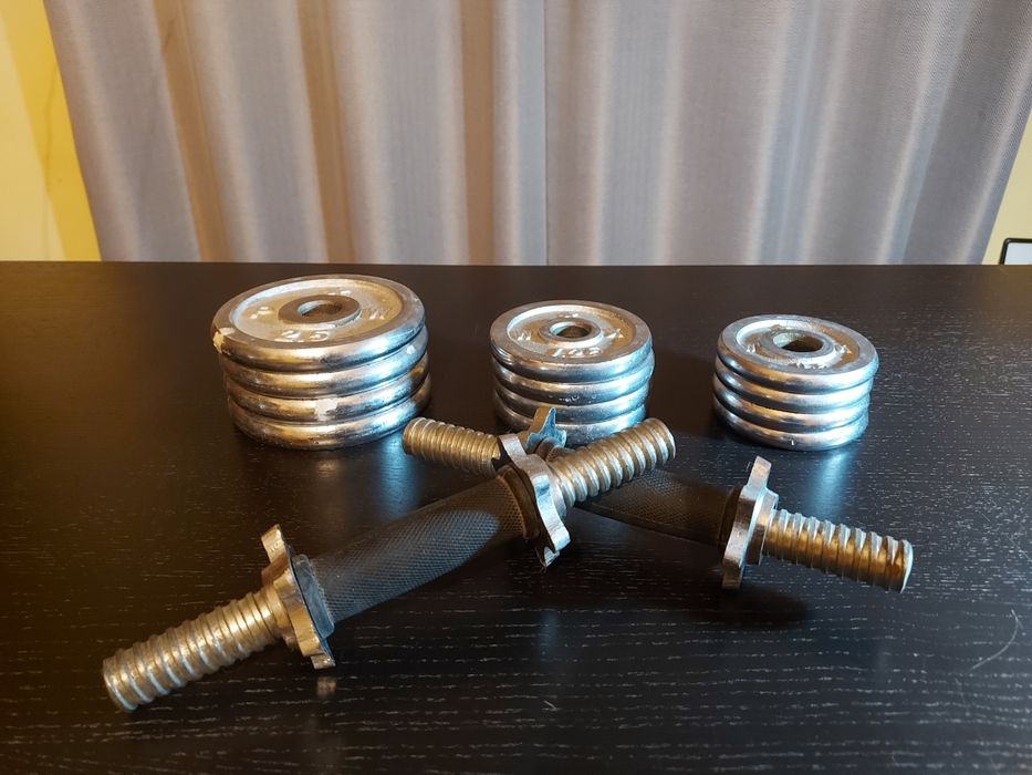 Conjunto de halteres