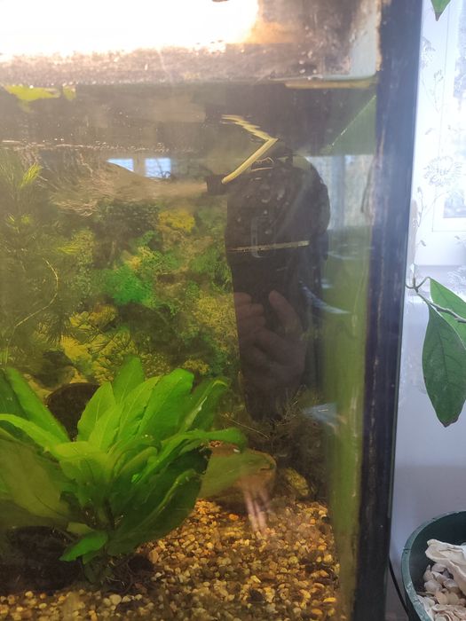 Akwarium 240 l z szafką