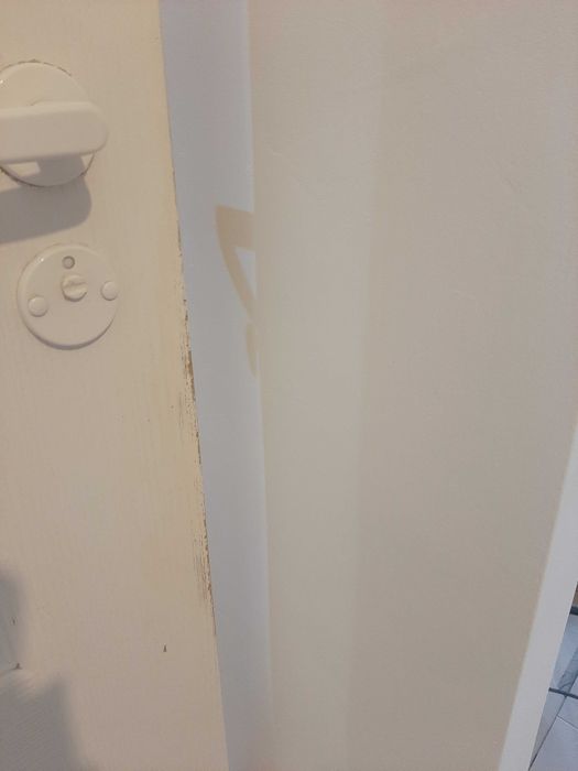 Drzwi lazienkowe 80, lewe