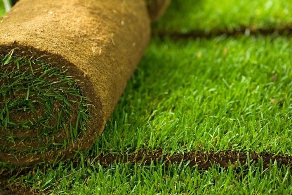 Ландшафт,  Рулонный газон,  Автополив,   Благоустройство "под ключ"