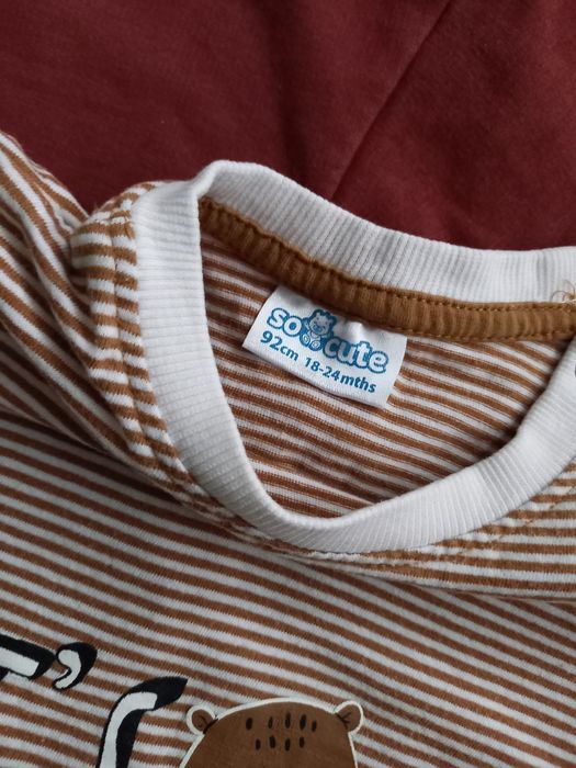 Одяг для хлопчика світшот лонгслів кофта на 3 роки