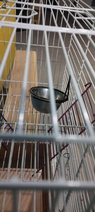Клітка для гризунів природа