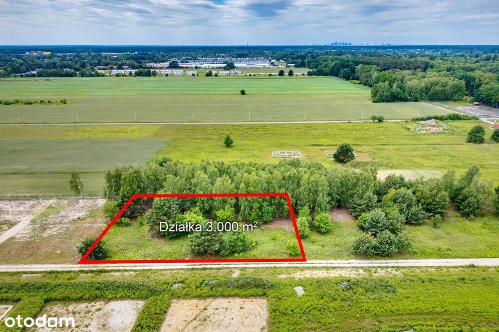 Działka 3000 m² z potencjałem inwestycyjnym – Bory
