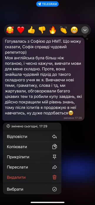 Репетитор з англійської мови онлайн, Підготовка до НМТ, ЄВІ, IELTS