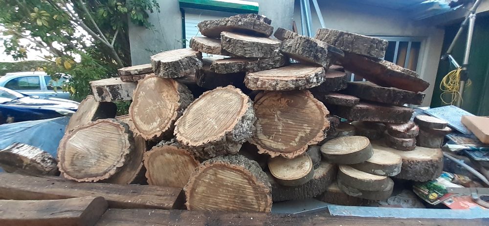 Rodelas - peças únicas para decorar, alimentar...