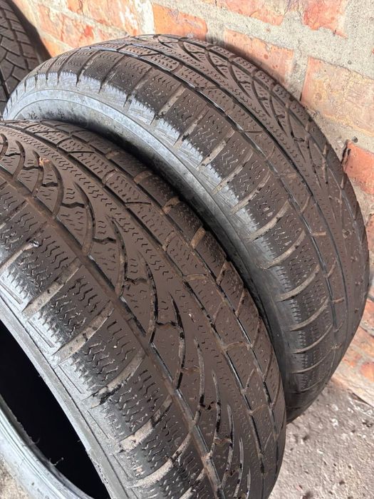 Зимняя резина Patlas Snow Master W651 215/65 R16 – Пара колес
