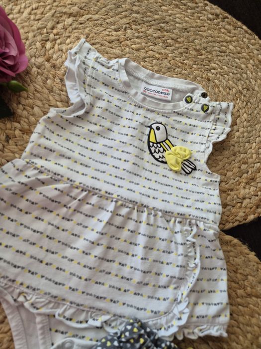 Coccodrillo * komplet 68