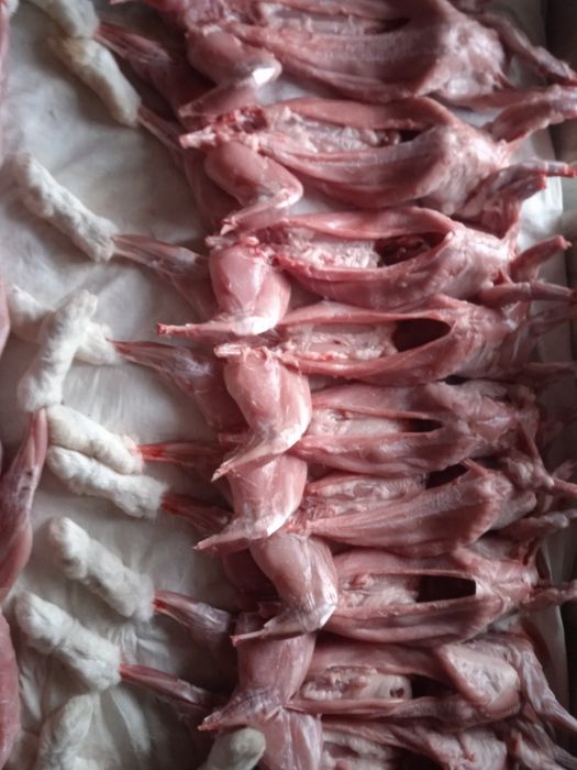 Мясо кроля, тушка кролика