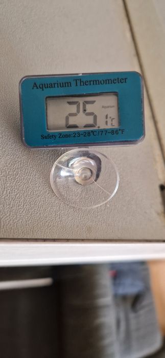 Termómetro digital para aquário
