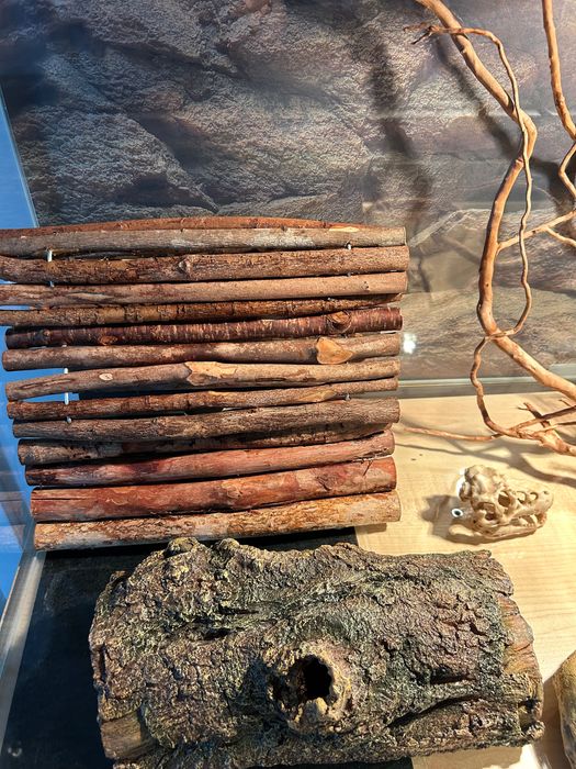 Terrarium 140x60x50 + szafka | pełne wyposażenie.