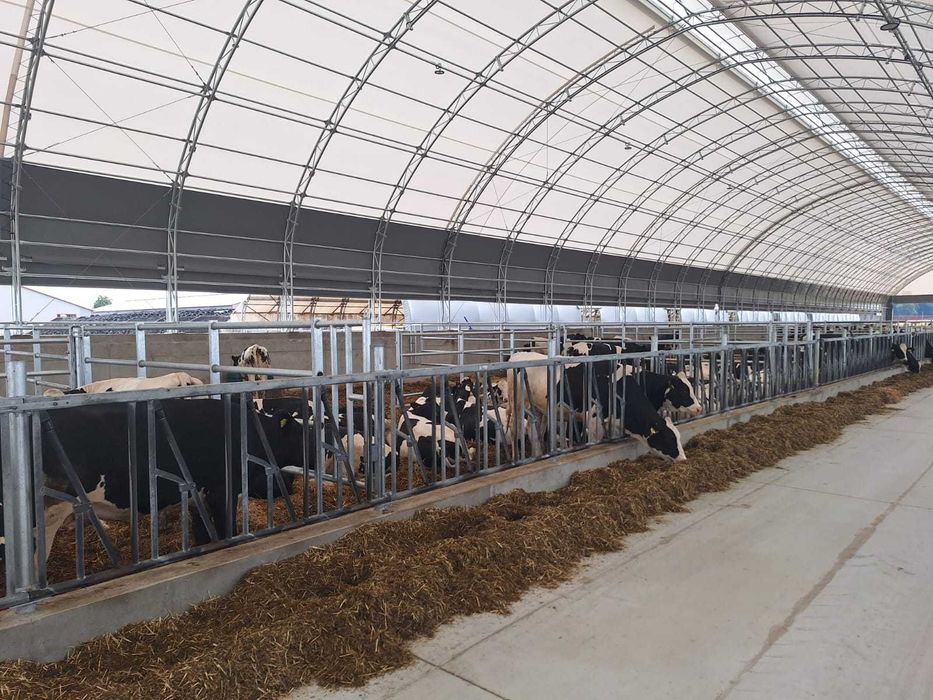 Oryginalne HaleNaBale.pl pod bydło 16x30 wietrz. boczne i kalenicowe
