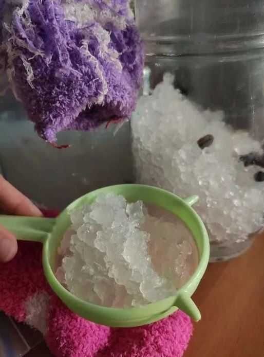 Kryształki japońskie (algi wodne) Naturalny prebiotyk i izotonik