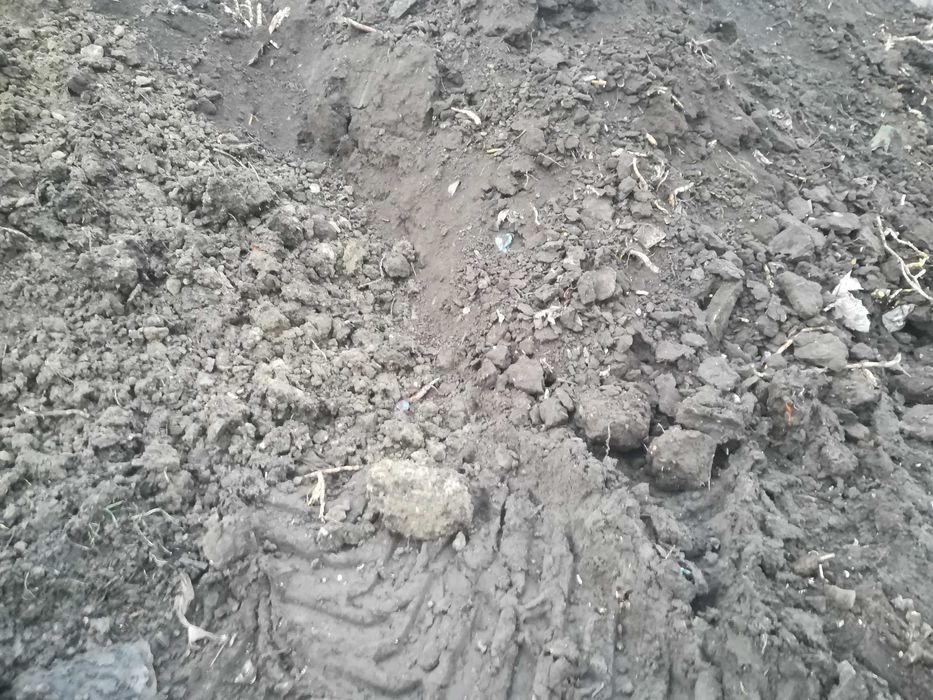 Oddam ziemię humus.