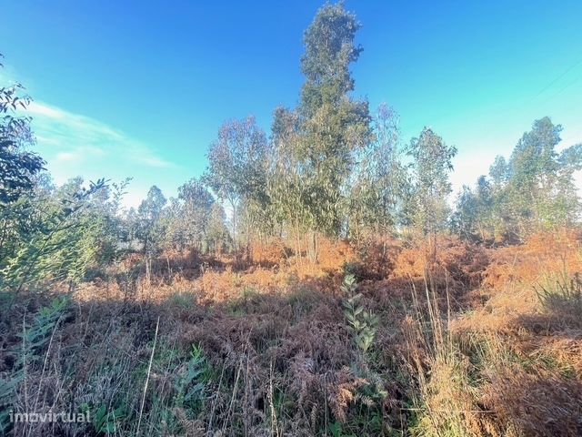 Terreno  Venda em Canelas,Vila Nova de Gaia