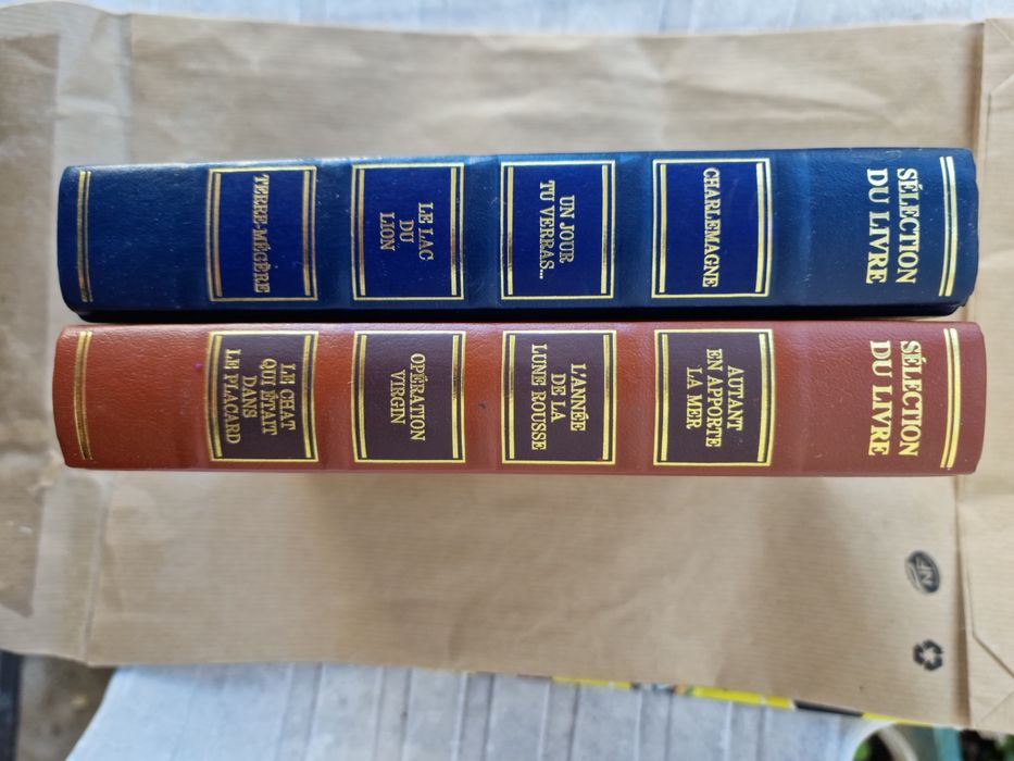 Livros antigos em francês