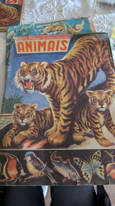 Caderneta figurinhas brasileira dos anos 50 e 60